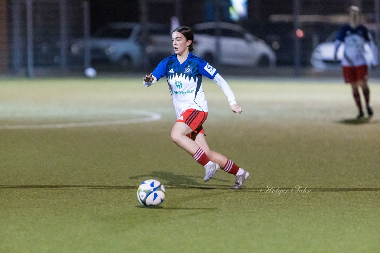 Bild 108 - F SC Alstertal-Langenhorn - Hamburger SV 3 : Ergebnis: 2:2